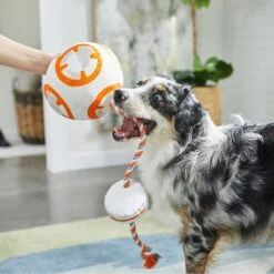 STAR WARS BB-8 Ballistic Nylon Plush Squeaky Dog Toy & STAR WARS MILLENNIUM FALCON Ballistic Nylon Plush Squeaky Dog Toy -PetSafe Kong Shop 302554 PT3. AC SS1800 V1623081150