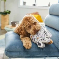 STAR WARS BB-8 Ballistic Nylon Plush Squeaky Dog Toy & STAR WARS MILLENNIUM FALCON Ballistic Nylon Plush Squeaky Dog Toy -PetSafe Kong Shop 302554 PT6. AC SS1800 V1623034347