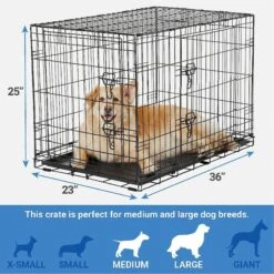 Frisco Fold & Carry Double Door Collapsible Wire Dog Crate & Mat Kit & Frisco Stainless Steel Bowl -PetSafe Kong Shop 303428 PT2. AC SS1800 V1623055045