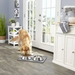 Frisco Fold & Carry Double Door Collapsible Wire Dog Crate & Mat Kit & Frisco Stainless Steel Bowl -PetSafe Kong Shop 303428 PT7. AC SS1800 V1623045760