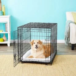 Frisco Fold & Carry Single Door Collapsible Wire Dog Crate & Frisco Premium Extra Large Printed Dog Training & Potty Pads -PetSafe Kong Shop 303438 PT4. AC SS1800 V1623088347