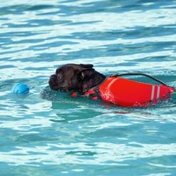 Frisco Shark Dog Life Jacket & Frisco Foam Rubber Floating Fetch Ball No Squeak Dog Toy -PetSafe Kong Shop 303590 PT7. AC SS1800 V1623040948