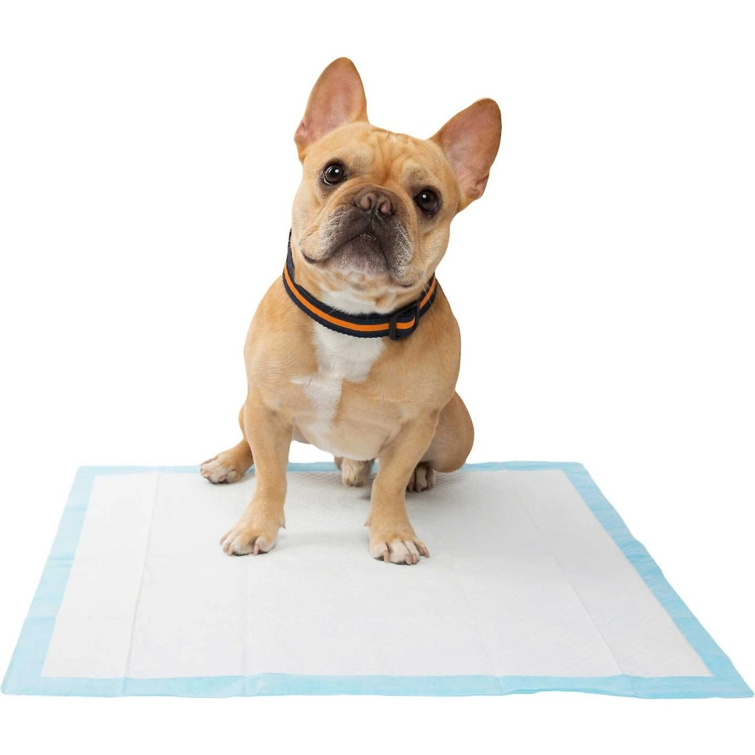 Wee-Wee Pad On Target Trainer & Frisco Premium Dog Training & Potty Pads 7 Wee-Wee Pad On Target Trainer & Frisco Premium Dog Training & Potty Pads - Image 7