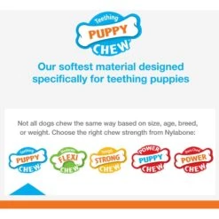Nylabone Puppy Starter Kit With Chew Toys, Teething Kit & Chew Treat 11 Nylabone Puppy Starter Kit With Chew Toys, Teething Kit & Chew Treat -PetSafe Kong Shop 304155 PT2. AC SS1800 V1693418695