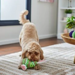 Frisco Easter Bunny Egg Plush Squeaky Dog Toy 8 Frisco Easter Bunny Egg Plush Squeaky Dog Toy -PetSafe Kong Shop 304960 PT4. AC SS1800 V1702500564