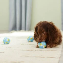 Frisco Easter Fetch Squeaky Tennis Ball Dog Toy, Medium, 3 Count 8 Frisco Easter Fetch Squeaky Tennis Ball Dog Toy, Medium, 3 Count -PetSafe Kong Shop 304964 PT4. AC SS1800 V1703184745