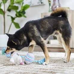 Frisco Easter Bunny & Egg Plush With Rope Dog Toy -PetSafe Kong Shop 304970 PT4. AC SS1800 V1703184715