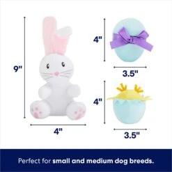 Frisco Easter Basket Hide & Seek Puzzle Plush Squeaky Dog Toy -PetSafe Kong Shop 304982 PT2. AC SS1800 V1702665735