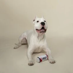 Pet Shop By Fringe Studio Druly Barkin' Berry Squeaky Plush Dog Toy -PetSafe Kong Shop 306605 PT2. AC SS1800 V1623279160