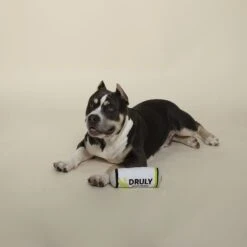 Pet Shop By Fringe Studio Druly Lickin' Lime Squeaky Plush Dog Toy -PetSafe Kong Shop 306607 PT2. AC SS1800 V1623285749