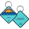QALO Personalized Bluetooth Enabled TraQ Ocean Sunrise Silicone Dog ID Tag
