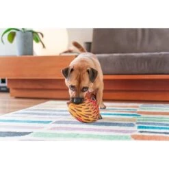Red Dingo DURABLES Eddie The Echidna Squeaky Soft Dog Toy -PetSafe Kong Shop 308915 PT2. AC SS1800 V1685982330