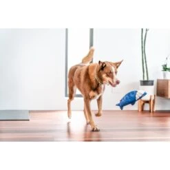 Red Dingo DURABLES Steve The Shark Squeaky Soft Dog Toy -PetSafe Kong Shop 308923 PT2. AC SS1800 V1685987625