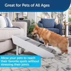 PetSafe CozyUp Dog & Cat Steps & Ramp -PetSafe Kong Shop 309047 PT2. AC SS1800 V1623970052