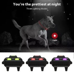 Petdiary T502 2600-ft Remote Dog Training Shock Collar System -PetSafe Kong Shop 309049 PT3. AC SS1800 V1634679674