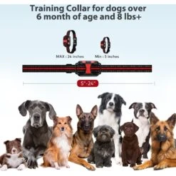 Petdiary T502 2600-ft Remote Dog Training Shock Collar System -PetSafe Kong Shop 309049 PT4. AC SS1800 V1634679197