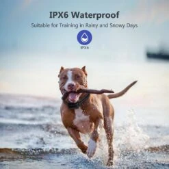 Petdiary T720 3,000-ft Shock Dog Training Collar -PetSafe Kong Shop 309051 PT3. AC SS1800 V1634679131