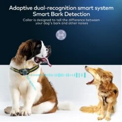 Petdiary B600 Waterproof Dog Bark Collar -PetSafe Kong Shop 309053 PT3. AC SS1800 V1625617317