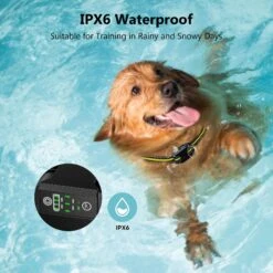 Petdiary B600 Waterproof Dog Bark Collar -PetSafe Kong Shop 309053 PT5. AC SS1800 V1625620587