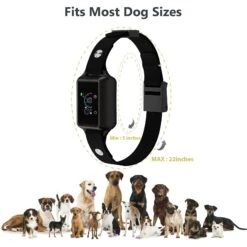 Petdiary Smart Bark Waterproof Dog Bark Collar -PetSafe Kong Shop 309056 PT7. AC SS1800 V1677080665