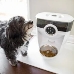 Whisker Feeder-Robot Smoke Hopper Dog & Cat Feeder 9 Whisker Feeder-Robot Smoke Hopper Dog & Cat Feeder -PetSafe Kong Shop 309518 PT4. AC SS1800 V1634131585