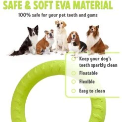 PetSpy Fitness Ring Dog Toy -PetSafe Kong Shop 309601 PT2. AC SS1800 V1624661580