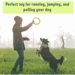PetSpy Fitness Ring Dog Toy -PetSafe Kong Shop 309601 PT4. AC SS1800 V1624663053
