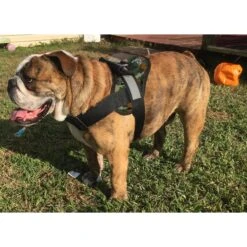 HDP Big Dog No Pull Dog Harness