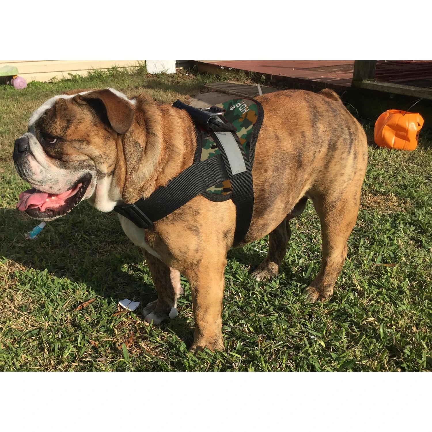 HDP Big Dog No Pull Dog Harness 1 HDP Big Dog No Pull Dog Harness