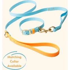PawFurEver Waterproof Dog Leash -PetSafe Kong Shop 310267 PT3. AC SS1800 V1645051303