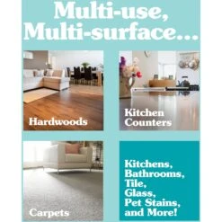 Simple Solution Instant Orange Odor & Stain Eliminator Concentrate, 8-oz Bottle -PetSafe Kong Shop 310972 PT5. AC SS1800 V1625002389