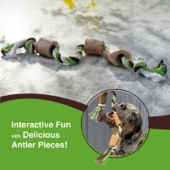 Buck Bone Organics Antler Rope Dog Toy -PetSafe Kong Shop 311431 PT2. AC SS1800 V1631779849