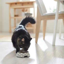 Frisco Moroccan Design Stainless Steel Dog & Cat Bowl -PetSafe Kong Shop 311963 PT3. AC SS1800 V1642542386