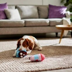 Frisco Valentine Coffee For Two Ballistic Nylon Plush Squeaky Dog Toy -PetSafe Kong Shop 312897 PT3. AC SS1800 V1638987357