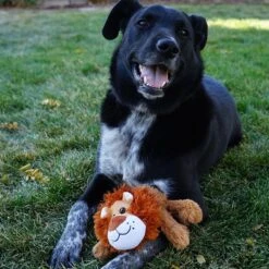 KONG Cozie Nate The Lion Plush Squeaky Dog Toy -PetSafe Kong Shop 313135 PT2. AC SS1800 V1660703958