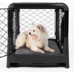 Diggs Revol Collapsible Dog Crate 11 Diggs Revol Collapsible Dog Crate -PetSafe Kong Shop 313497 PT5. AC SS1800 V1627352242
