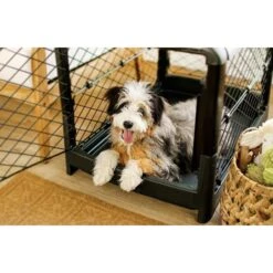 Diggs Revol Collapsible Dog Crate 13 Diggs Revol Collapsible Dog Crate -PetSafe Kong Shop 313497 PT7. AC SS1800 V1627307482