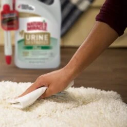 Nature's Miracle Dog Urine Destroyer Plus Enzymatic Formula Stain Remover, 1.3-gal Bottle -PetSafe Kong Shop 313852 PT6. AC SS1800 V1625874761