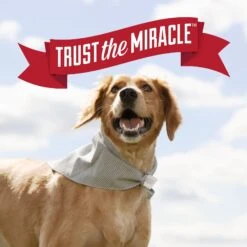 Nature's Miracle Dog Urine Destroyer Plus Enzymatic Formula Stain Remover, 1.3-gal Bottle -PetSafe Kong Shop 313852 PT7. AC SS1800 V1625862701