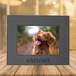 904 Custom Personalized Pet Name Leatherette Picture Frame -PetSafe Kong Shop 314646 PT2. AC SS1800 V1637028401