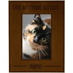 904 Custom Personalized Cute But Psycho Picture Pet Frame