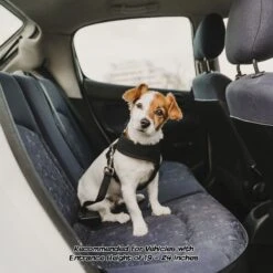 Pet Adobe Folding Dog & Cat Steps -PetSafe Kong Shop 314931 PT4. AC SS1800 V1626398830