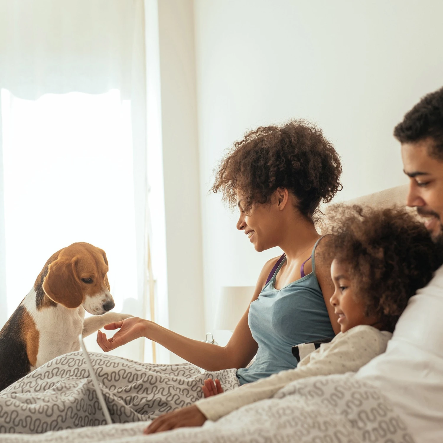 Pet Adobe Carpeted Folding Dog & Cat Steps 5 Pet Adobe Carpeted Folding Dog & Cat Steps - Image 5