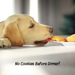 Pet Adobe 3-Panel Freestanding Folding Dog & Cat Gate -PetSafe Kong Shop 314950 PT4. AC SS1800 V1626393970