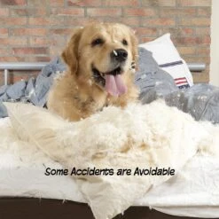 Pet Adobe Scallop Top Freestanding Dog & Cat Gate 11 Pet Adobe Scallop Top Freestanding Dog & Cat Gate -PetSafe Kong Shop 314959 PT3. AC SS1800 V1626386228