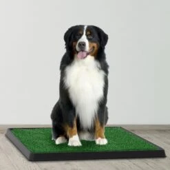 Pet Adobe Artificial Grass Potty Trainer Dog Mat 9 Pet Adobe Artificial Grass Potty Trainer Dog Mat -PetSafe Kong Shop 314989 PT3. AC SS1800 V1626398812