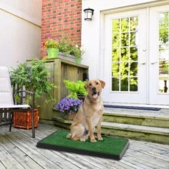 Pet Adobe Artificial Grass Potty Trainer Dog Mat 10 Pet Adobe Artificial Grass Potty Trainer Dog Mat -PetSafe Kong Shop 314989 PT4. AC SS1800 V1626393770