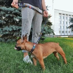 WAUDOG NASA Nylon Standard Dog Leash -PetSafe Kong Shop 315181 PT3. AC SS1800 V1628185284