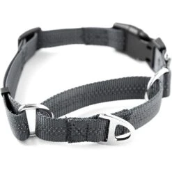 Mighty Paw Nylon Martingale Cinch Dog Collar