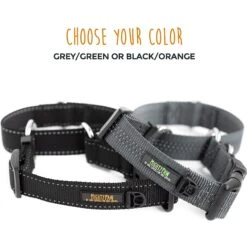 Mighty Paw Nylon Martingale Cinch Dog Collar -PetSafe Kong Shop 315209 PT2. AC SS1800 V1626471381